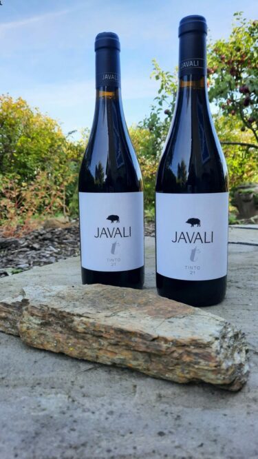 Javali tinto 2021